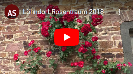 video-loehndorf-rosentraum.png